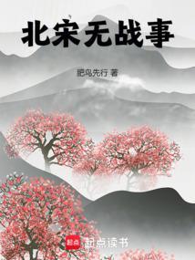 北宋有战乱吗