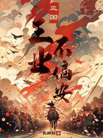 三国王业不偏安无错版