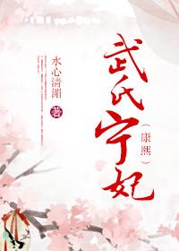 武氏宁妃康熙番外