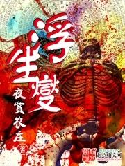 浮生夑的写作特点