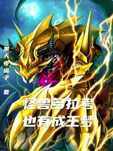 奥特曼中的老大是谁