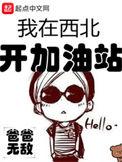 我在西北开加油站笔趣
