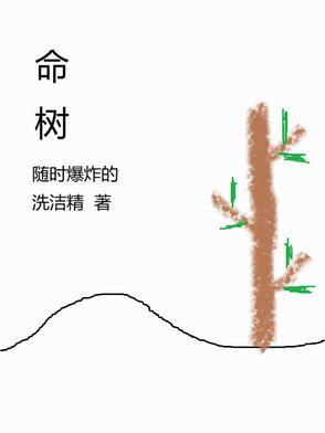 张哲华生命树