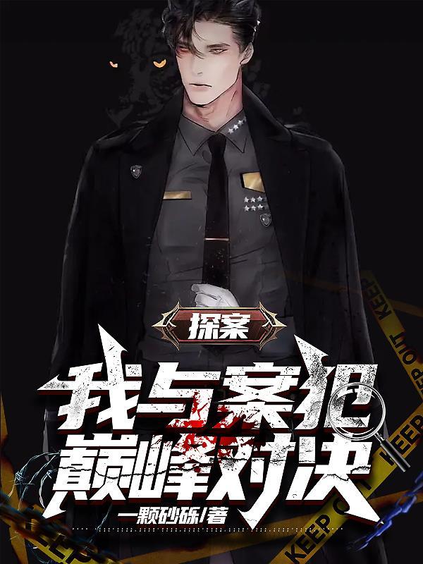 探案我与案犯巅峰对决TXT