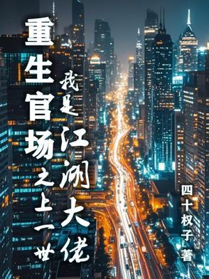 重生之官场之路