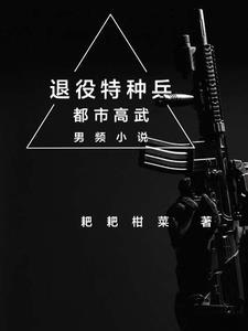 退役特种兵入赘豪门