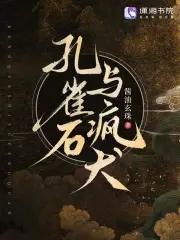 孔雀石dsp