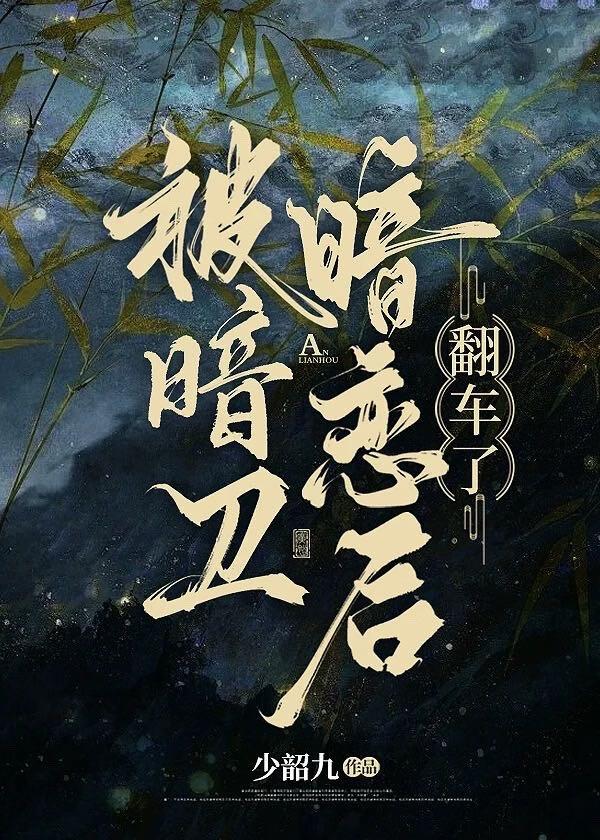 暗卫受受伤