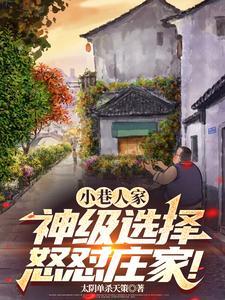 小巷人家加盟