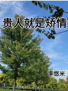 真正的贵人是什么