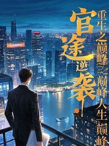 官场之巅峰人生系统