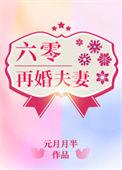 六零再婚夫妻作者元月月半