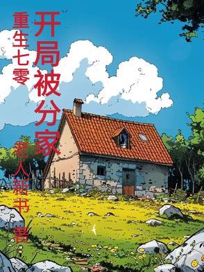 开局被分家动漫