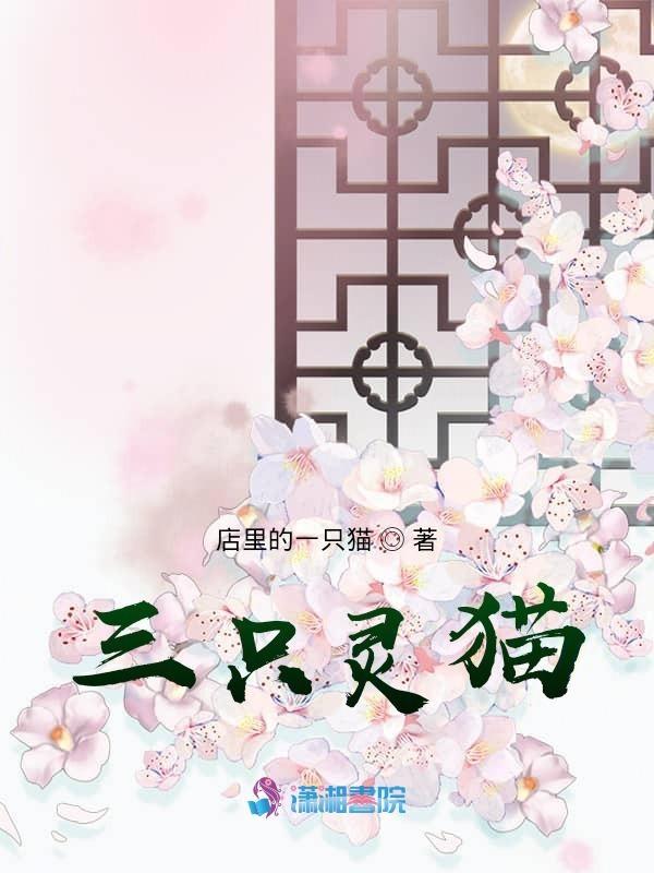 三只猫动画片