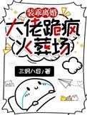 装乖离婚大佬跪疯火葬场txt