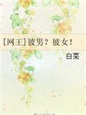 网王