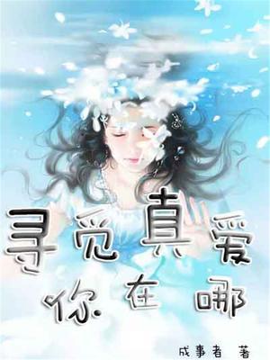 寻觅这首歌是什么电视剧里的
