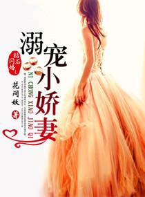 钻石闪婚之溺宠小娇妻妻全文免费阅读