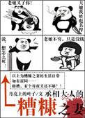 丞相大人的槽糠之妻的