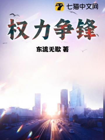 权利争锋全集阅读免费