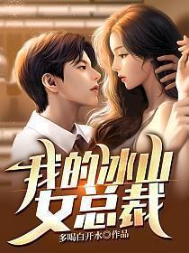 我的冰山女总裁沈浪