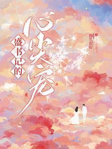 盛书记的心尖宠最新章节更新列表
