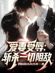 爱妻侵取