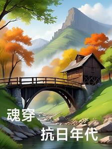 魂穿抗日年代一口气听完