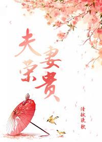 夫荣妻贵电视剧