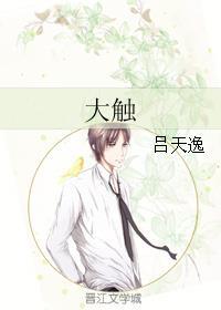 大触觉醒百绘罗衣官网