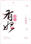 有妃君子免费阅读