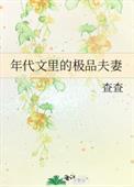有极品的年代文