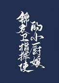 锦衣卫指挥使的小厨娘结局