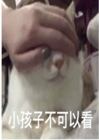 圈养txt折枝