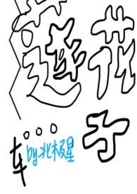 莲子子的功效与作用