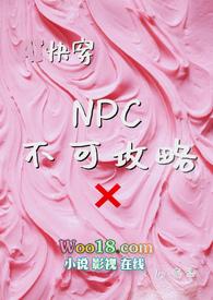 NPC不可攻略NPH