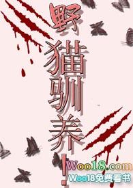野猫驯养剧透