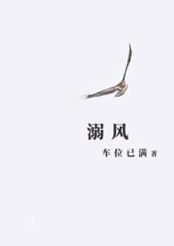 溺风by车位已满笔趣阁