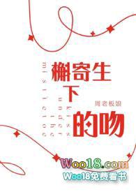 槲寄生下的吻百度