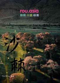 沙棘冻干粉作用与功效