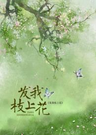 发我枝上花po笔llllll