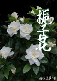 栀子花 (父女1v1)荔枝豆腐心 著