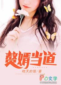 赘婿当道笔趣阁免费阅读