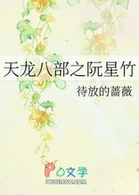 天龙八部之阮星竹作者待放的蔷薇