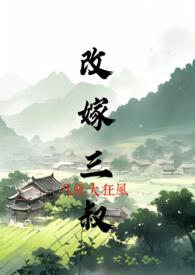 改嫁三叔大狂风大结局