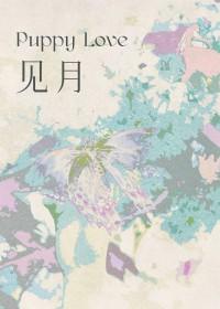 见月似你什么意思