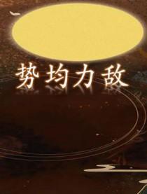 势均力敌电视剧