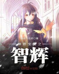 神奇宝贝之智辉 忆之书屋
