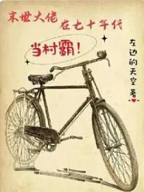末世大佬在七十年代当村霸 左边的天空
