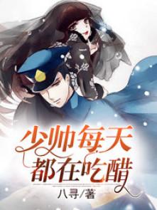少帅每天都在吃醋全文免费阅读